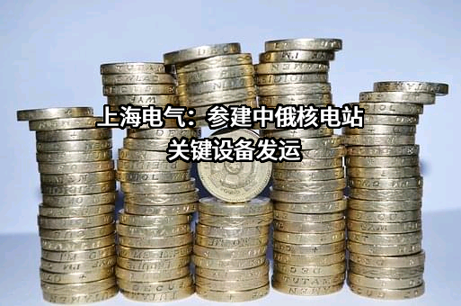 上海电气集团股份有限公司