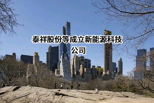 十堰市泰祥实业股份有限公司