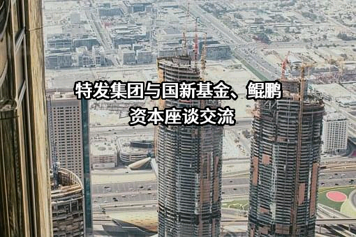 深圳市特发集团有限公司