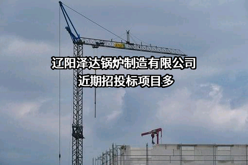 辽阳泽达锅炉制造有限公司近期招投标项目多