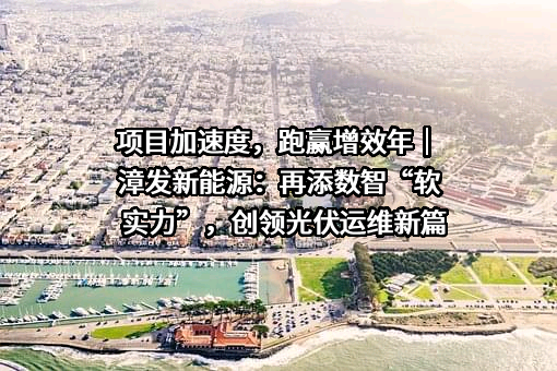 福建漳发新能源投资有限公司