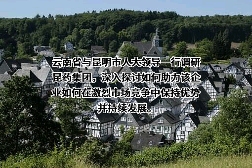 昆药集团股份有限公司