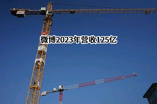 新浪网技术（中国）有限公司