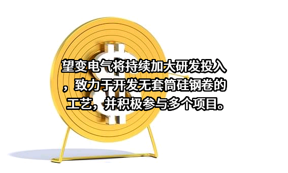 重庆望变电气（集团）股份有限公司