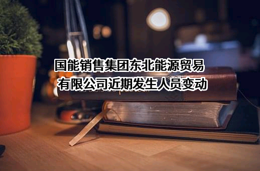 国能销售集团东北能源贸易有限公司
