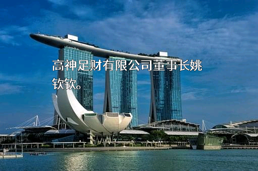 高神足财有限公司