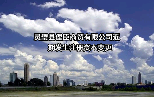 灵璧县俚臣商贸有限公司