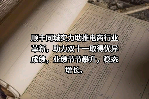深圳市顺丰同城物流有限公司