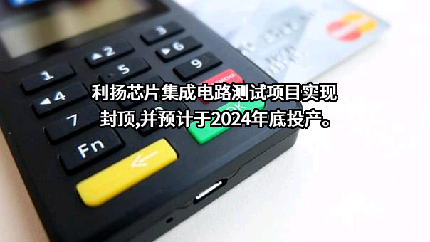 广东利扬芯片测试股份有限公司