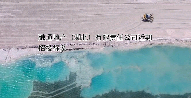 融通地产(湖北)有限责任公司