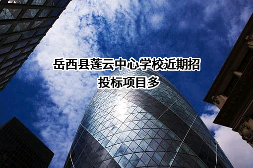 岳西县莲云中心学校近期招投标项目多