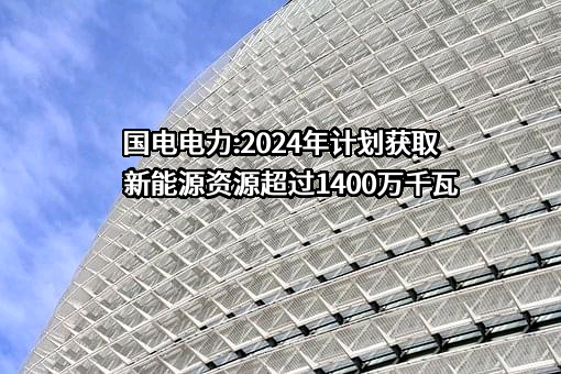 国电电力发展股份有限公司