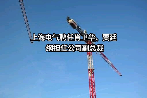 上海电气聘任肖卫华、贾廷纲担任公司副总裁