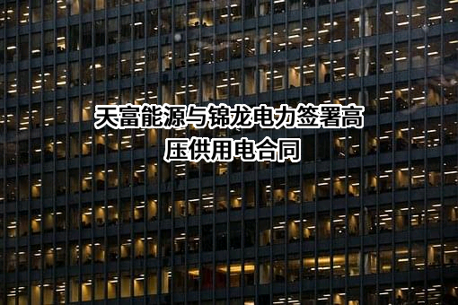 新疆锦龙电力集团有限公司