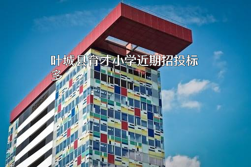 叶城县育才小学