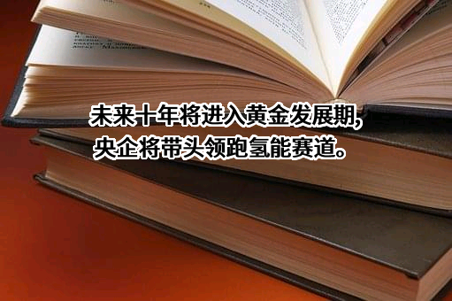 中国国际海运集装箱（集团）股份有限公司