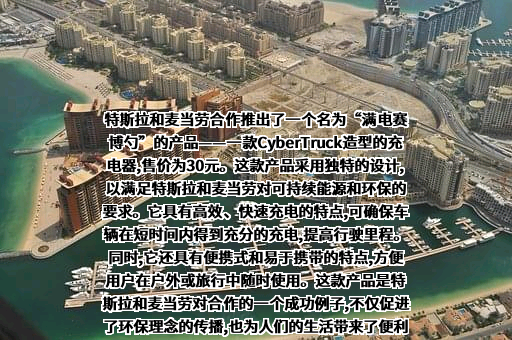 特斯拉（上海）有限公司