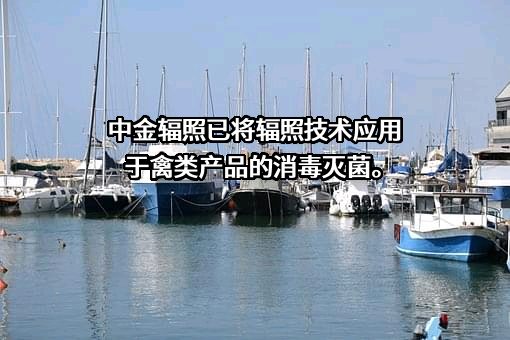 中金辐照股份有限公司