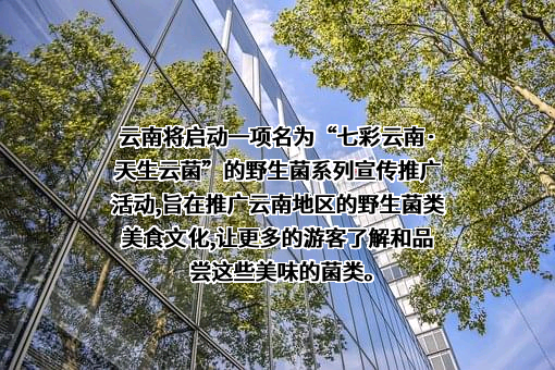 通号云南投资有限公司