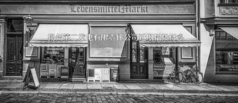 扬州第二发电有限责任公司