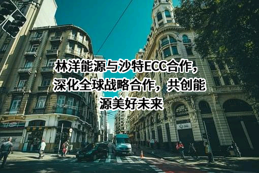 江苏林洋能源股份有限公司
