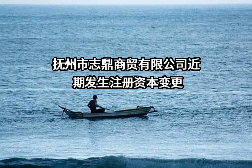 抚州市志鼎商贸有限公司