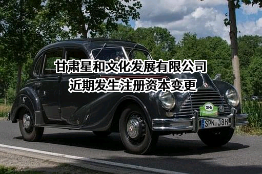 甘肃星和文化发展有限公司