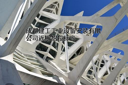 成都建工工业设备安装有限公司