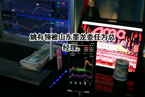 山东墨龙石油机械股份有限公司
