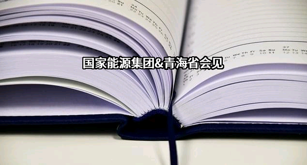 国家能源投资集团有限责任公司