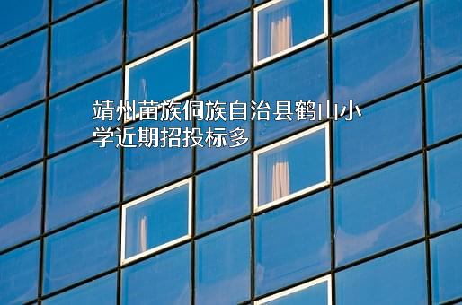 靖州苗族侗族自治县鹤山小学近期招投标项目多