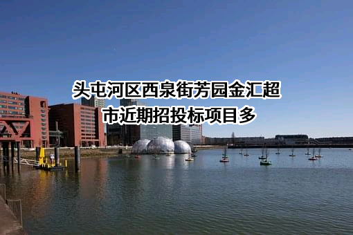 头屯河区西泉街芳园金汇超市