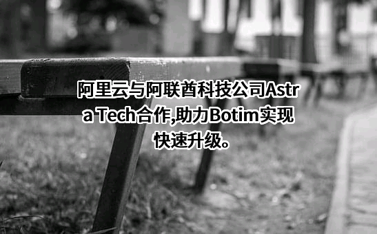 阿里云计算有限公司