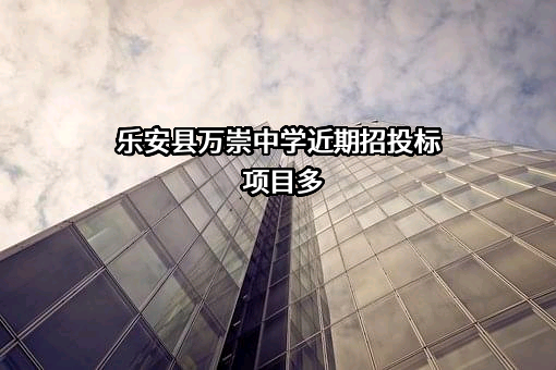 乐安县万崇中学