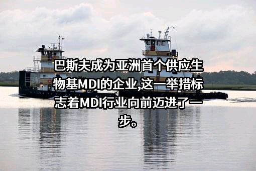 巴斯夫（中国）有限公司