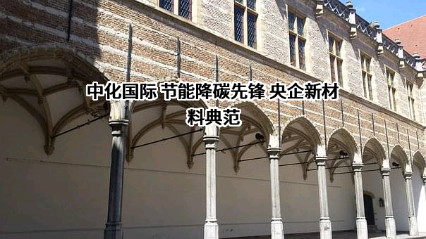 中化国际（控股）股份有限公司