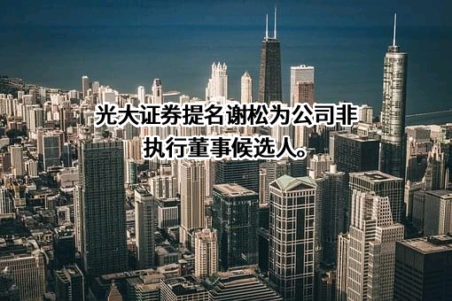 光大证券股份有限公司