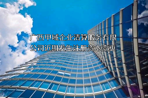 广西甲域企业清算服务有限公司
