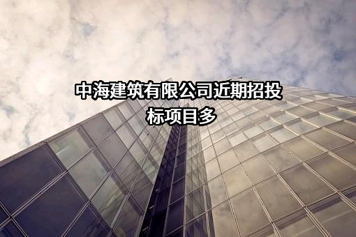 中海建筑有限公司