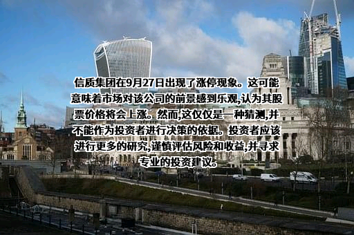 信质集团股份有限公司