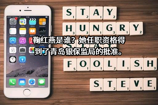 北京小鲸向海保险代理有限公司