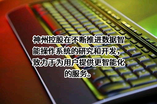 神州数码（香港）有限公司