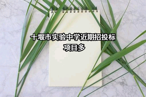 十堰市实验中学近期招投标项目多