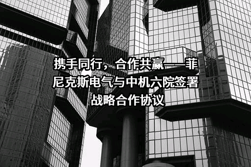 菲尼克斯（中国）投资有限公司