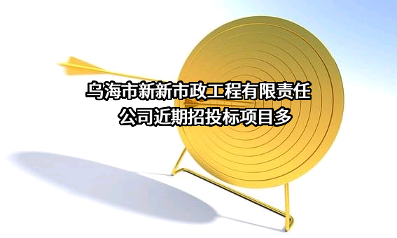 乌海市新新市政工程有限责任公司近期招投标项目多