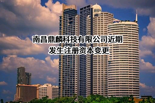 南昌鼎麟科技有限公司