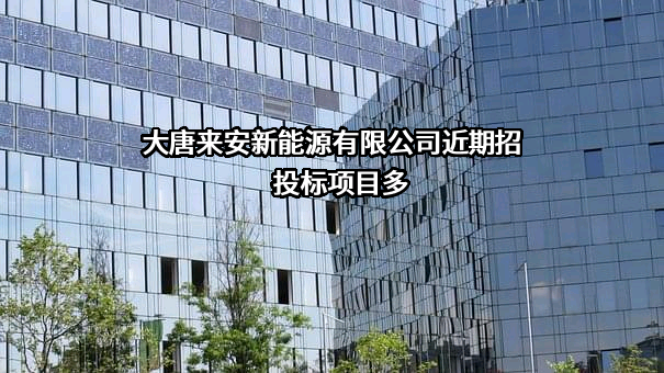 大唐来安新能源有限公司