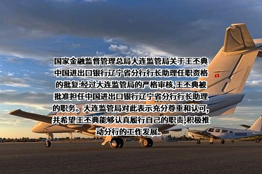 中国进出口银行