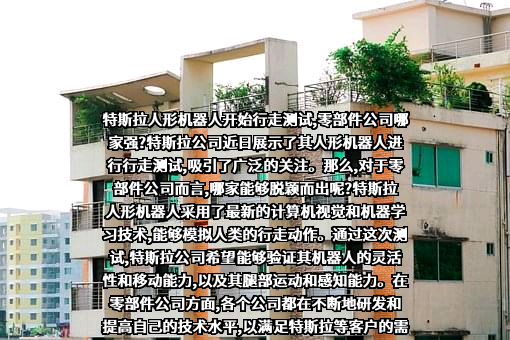 特斯拉（上海）有限公司