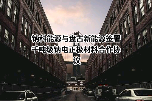 无锡盘古新能源有限责任公司